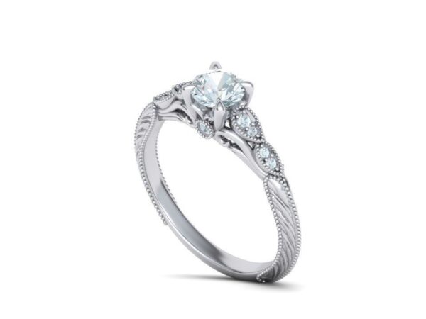 Peekaboo Cathedral Engagement Ring